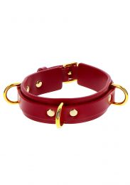 Taboom - D-ring Collar Deluxe